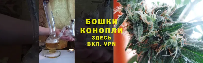 блэк спрут ТОР  Южа  Шишки марихуана SATIVA & INDICA 